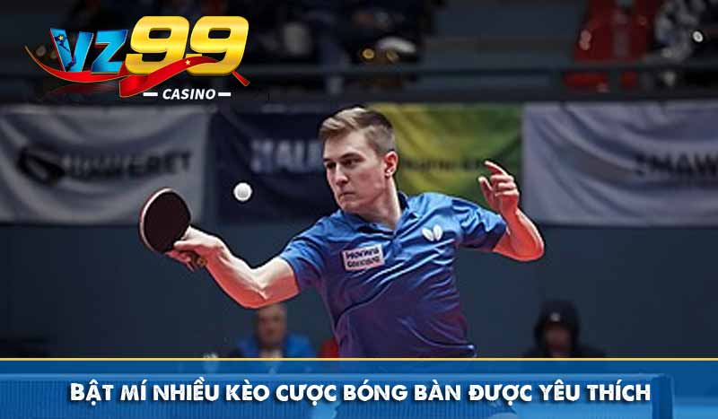 Cá Cược Bóng Bàn - Hướng Dẫn Cược & Chia Sẻ Mẹo Hay Mới Nhất 6 Bật mí nhiều kèo cược bóng bàn được yêu thích